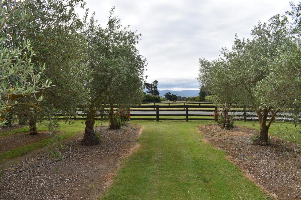 Bed and Breakfast Olivista Masterton Exterior foto