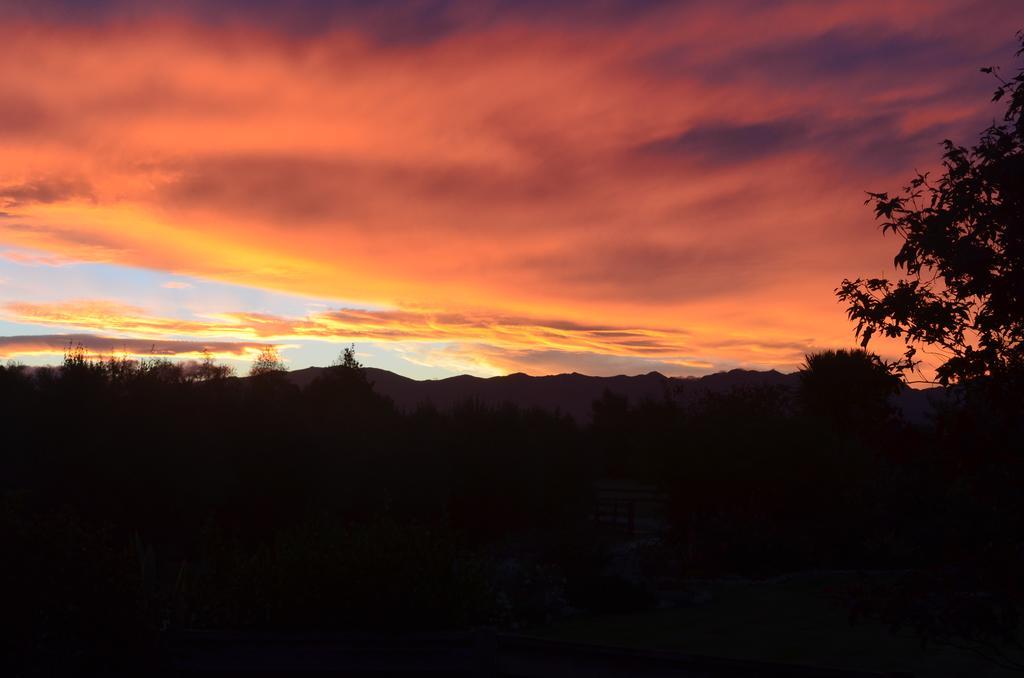 Bed and Breakfast Olivista Masterton Exterior foto